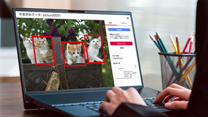 TASUKI Annotation