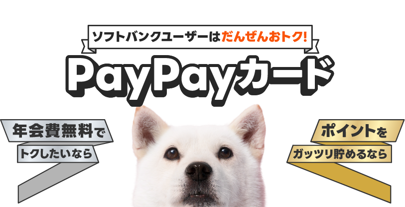 ソフトバンクユーザーはだんぜんおトク！PayPayカード 年会費無料でトクしたいなら ポイントをガッツリ貯めるなら