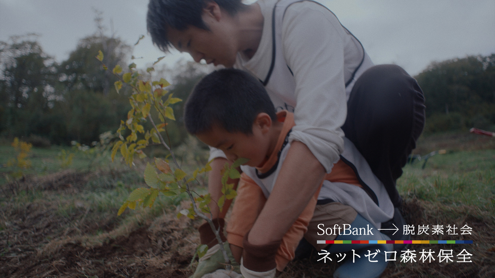 SoftBank→脱炭素社会 ネットゼロ森林保全